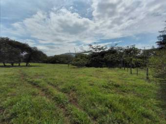 Se vende lote plano con 57,548m2 en Garita de Alajuela 23-411