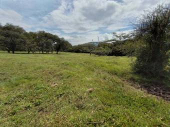 Se vende lote plano con 57,548m2 en Garita de Alajuela 23-411