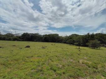 Se vende lote plano con 57,548m2 en Garita de Alajuela 23-411