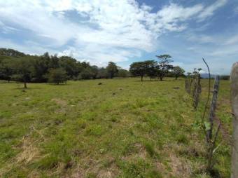 Se vende lote plano con 57,548m2 en Garita de Alajuela 23-411