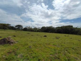 Se vende lote plano con 57,548m2 en Garita de Alajuela 23-411