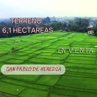 Se vende amplio lote de 6,11 hectáreas con uso de suelo mixto en San Pablo de Heredia 24-1734