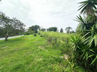 Se vende amplio lote de 6,11 hectáreas con uso de suelo mixto en San Pablo de Heredia 24-1734