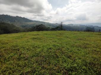 Se vende amplia finca de 7 hectáreas en San Rafael de Montes de Oca 24-1017