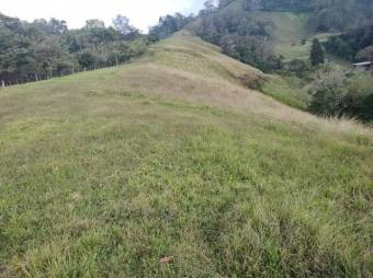 Se vende amplia finca de 7 hectáreas en San Rafael de Montes de Oca 24-1017