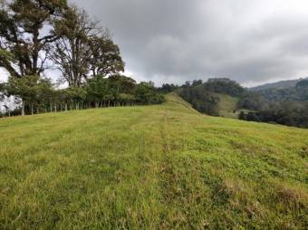 Se vende amplia finca de 7 hectáreas en San Rafael de Montes de Oca 24-1017