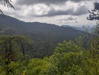 FINCA PARA COMPENSACIÓN DE OXÍGENO, SAN RAMÓN, ALAJUELA