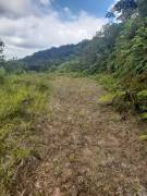 FINCA PARA COMPENSACIÓN DE OXÍGENO, SAN RAMÓN, ALAJUELA