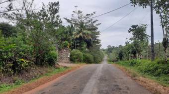 HERMOSA FINCA EN KATIRA,GUATUSO