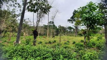 HERMOSA FINCA EN KATIRA,GUATUSO