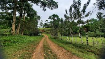 HERMOSA FINCA EN KATIRA,GUATUSO