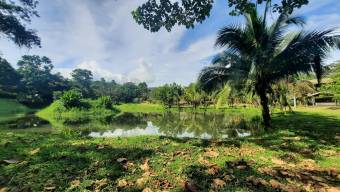 HERMOSA PROPIEDAD, LA PALMERA, SAN CARLOS 