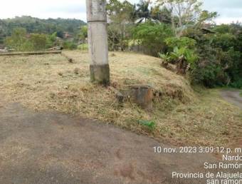 Se Vende Terreno en Alfaro, San Ramón de Alajuela