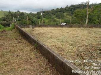 Se Vende Terreno en Alfaro, San Ramón de Alajuela