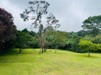 Se vende casa con terreno de 2,964m2 en Velázquez de Coronado en San José 24-1893