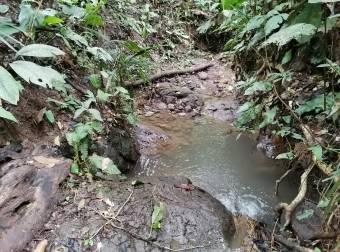 SE VENDE ESPECTACULAR FINCA CON VISTA AL MAR CARIBE EN CAHUITA, TALAMANCA, LIMÓN