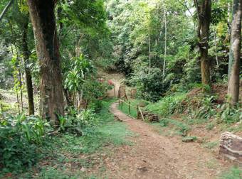 SE VENDE ESPECTACULAR FINCA CON VISTA AL MAR CARIBE EN CAHUITA, TALAMANCA, LIMÓN