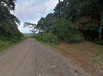 SE VENDE ESPECTACULAR FINCA CON VISTA AL MAR CARIBE EN CAHUITA, TALAMANCA, LIMÓN