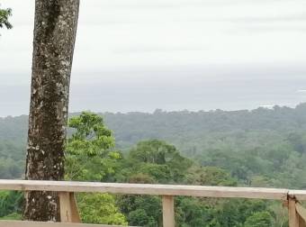 SE VENDE ESPECTACULAR FINCA CON VISTA AL MAR CARIBE EN CAHUITA, TALAMANCA, LIMÓN