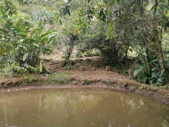 Venta de Lote en Turrialba, Cartago. RAH 23-1659