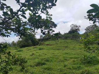 Venta de Lote en Turrialba, Cartago. RAH 23-1659