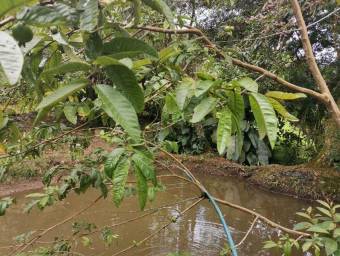 Venta de Lote en Turrialba, Cartago. RAH 23-1659