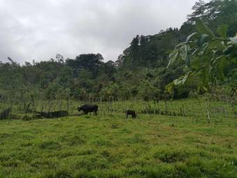 Venta de Lote en Turrialba, Cartago. RAH 23-1659