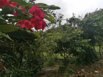 Venta de Lote en Turrialba, Cartago. RAH 23-1659