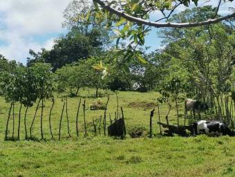 Venta de Lote en Turrialba, Cartago. RAH 23-1659