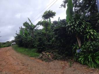 Lote con cultivo de café, donde se puede construir, se ubica al frente de la UNED en San Marcos 