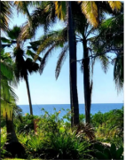 Linda Casa en Playa Negra de Guanacaste 