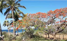 Linda Casa en Playa Negra de Guanacaste 