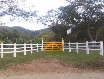 Se vende finca  en el sector de Chumico, Santa Cruz,  ,Guanacaste.