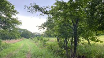 Finca en La Ceiba de Orotina, 46 hectareas