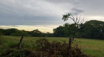 Finca en La Ceiba de Orotina, 46 hectareas