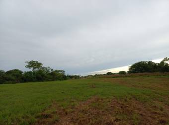 Finca en La Ceiba de Orotina, 46 hectareas