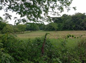 Finca en La Ceiba de Orotina, 46 hectareas