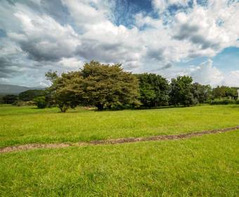 Lotes a la venta en Residencial Ciudad Hacienda los Reyes, Guácima.