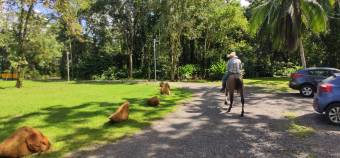 FOR SALE $2,700,000 Hotel Restaurant Gran Gavilán del Sarapiquí 11.7Ha IN FULL OPERATION!!