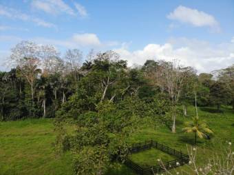 MLS-25-1361 LS VENTA LOTE MATAMA LIMON MLS-25-1361 LS VENTA LOTE MATAMA LIMON