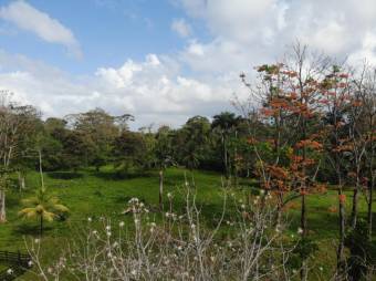 MLS-25-1361 LS VENTA LOTE MATAMA LIMON MLS-25-1361 LS VENTA LOTE MATAMA LIMON