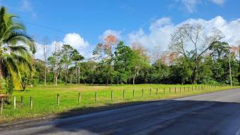 MLS-25-1361 LS VENTA LOTE MATAMA LIMON