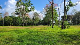 MLS-25-1361 LS VENTA LOTE MATAMA LIMON MLS-25-1361 LS VENTA LOTE MATAMA LIMON