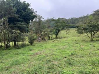 MLS-26-15 LS VENTA FINCA PALMITAL PUNTARENAS
