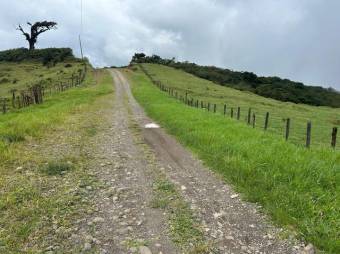 MLS-26-18 LS VENTA LOTE PALMITAL PUNTARENAS