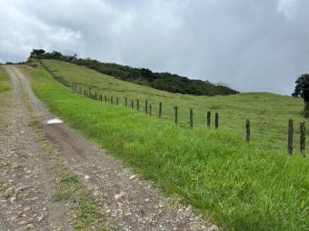 MLS-26-18 LS VENTA LOTE PALMITAL PUNTARENAS