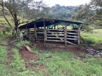 MLS-26-19 LS VENTA LOTE PALMITAL PUNTARENAS