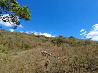 Se vende amplio lote de 5.4 hectáreas en Ciudad Colón 25-1098 Se vende amplio lote de 5.4 hectáreas en Ciudad Colón 25-1098