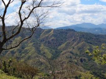 Se vende amplio lote de 5.4 hectáreas en Ciudad Colón 25-1098 Se vende amplio lote de 5.4 hectáreas en Ciudad Colón 25-1098