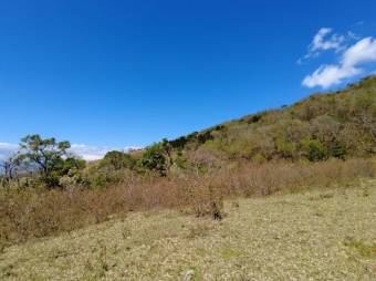 Se vende amplio lote de 5.4 hectáreas en Ciudad Colón 25-1098 Se vende amplio lote de 5.4 hectáreas en Ciudad Colón 25-1098